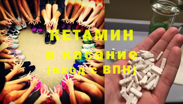 стаф Дмитриев