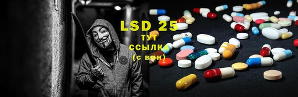стаф Дмитриев