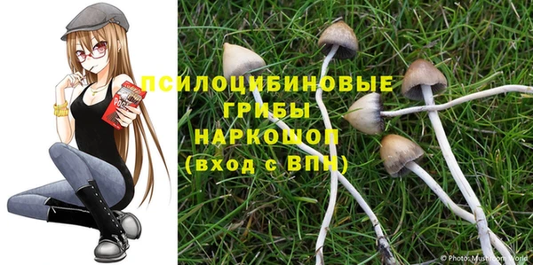 2c-b Дмитров