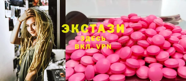 стаф Дмитриев