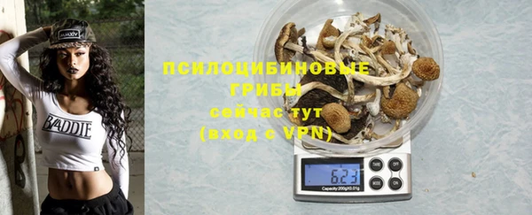 стаф Дмитриев