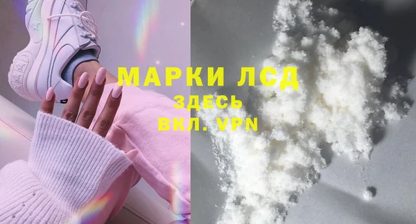 стаф Дмитриев