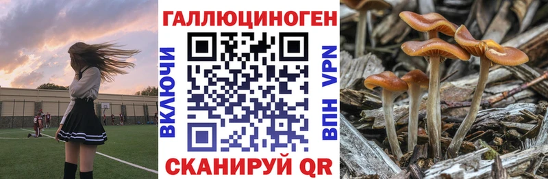 Псилоцибиновые грибы Magic Shrooms  Купить где  Лакинск 